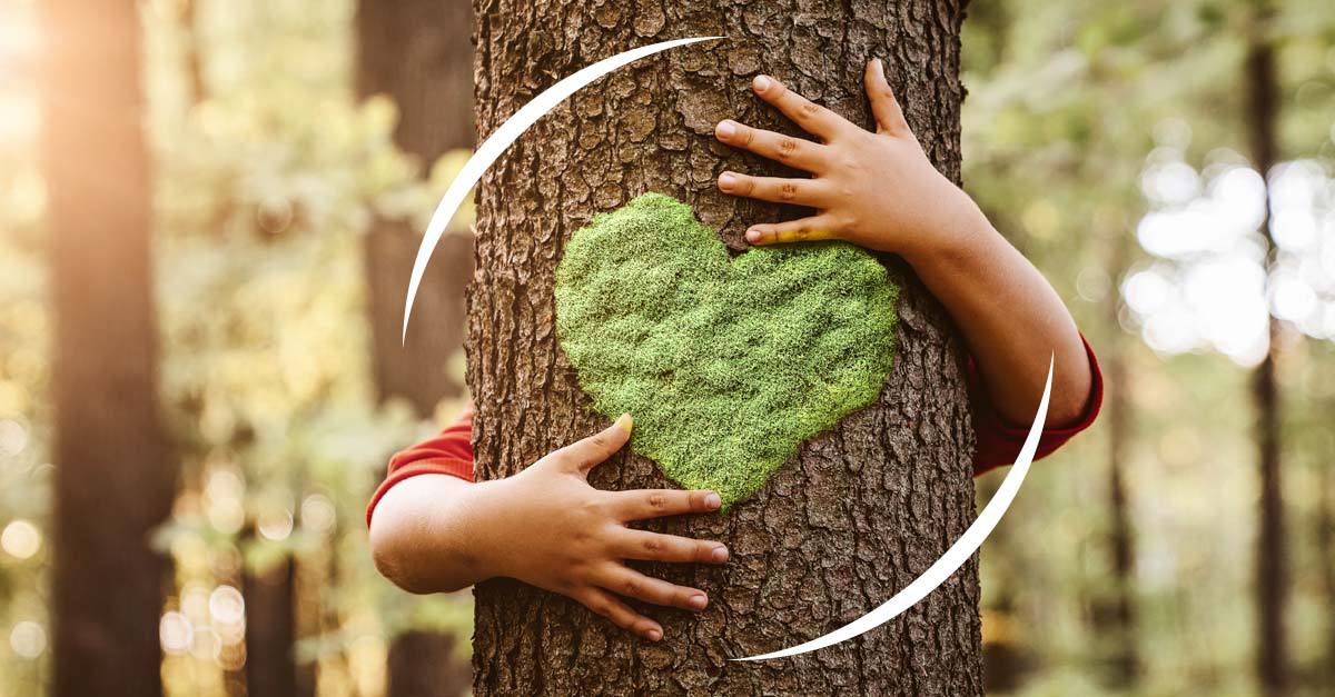 Journée Mondiale de l'Environnement